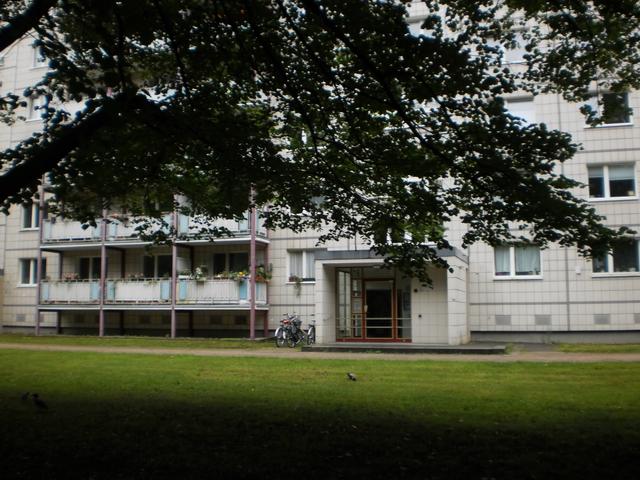 
                  
                     OLYMPUS DIGITAL CAMERA <br> 
                     OLYMPUS IMAGING CORP. 
                     T105,T100,X36 
                  
                  